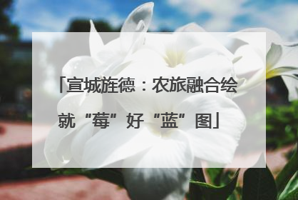 宣城旌德：农旅融合绘就“莓”好“蓝”图