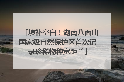 填补空白！湖南八面山国家级自然保护区首次记录珍稀物种宽距兰