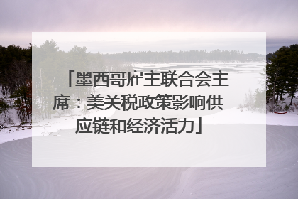 墨西哥雇主联合会主席：美关税政策影响供应链和经济活力