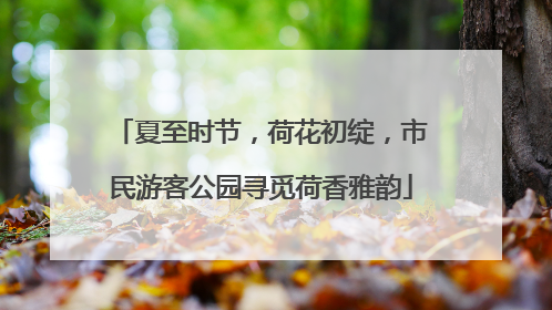 夏至时节，荷花初绽，市民游客公园寻觅荷香雅韵