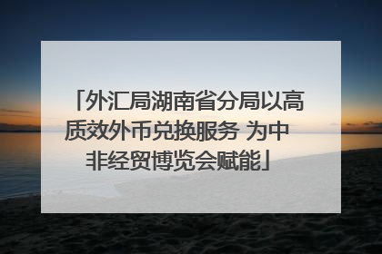 外汇局湖南省分局以高质效外币兑换服务 为中非经贸博览会赋能