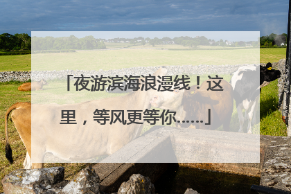 夜游滨海浪漫线！这里，等风更等你……