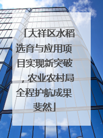 大祥区水稻选育与应用项目实现新突破，农业农村局全程护航成果斐然