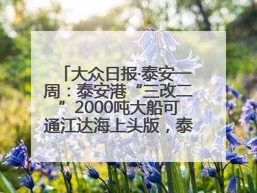 大众日报·泰安一周：泰安港“三改二”2000吨大船可通江达海上头版，泰安房产服务改革经验全省推广