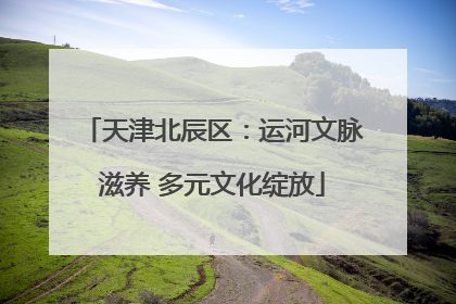 天津北辰区：运河文脉滋养 多元文化绽放