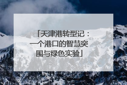 天津港转型记：一个港口的智慧突围与绿色实验