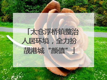 太仓浮桥镇整治人居环境，全力扮靓港城“颜值”
