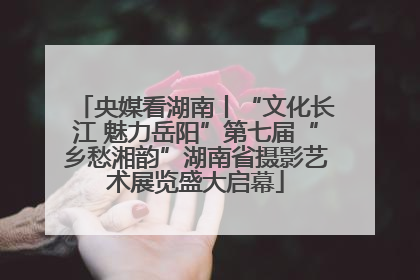 央媒看湖南丨“文化长江 魅力岳阳”第七届“乡愁湘韵”湖南省摄影艺术展览盛大启幕