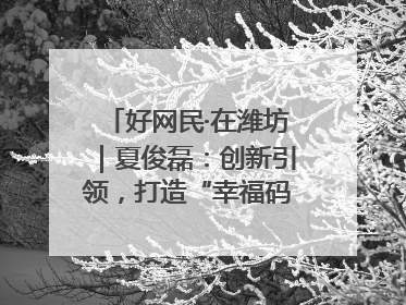 好网民·在潍坊｜夏俊磊：创新引领，打造“幸福码头”典范