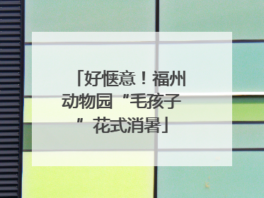 好惬意！福州动物园“毛孩子”花式消暑