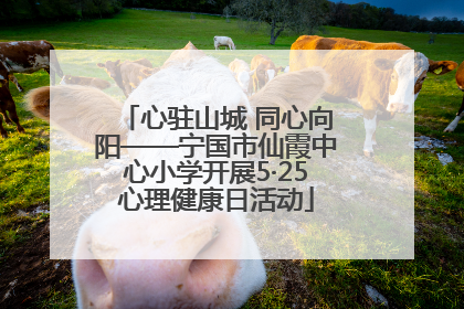 心驻山城 同心向阳——宁国市仙霞中心小学开展5·25心理健康日活动