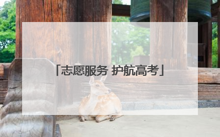 志愿服务 护航高考