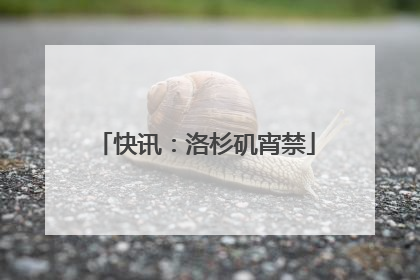 快讯：洛杉矶宵禁