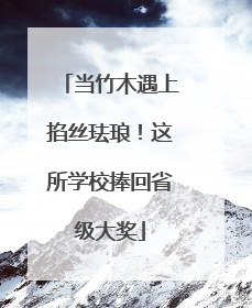 当竹木遇上掐丝珐琅！这所学校捧回省级大奖