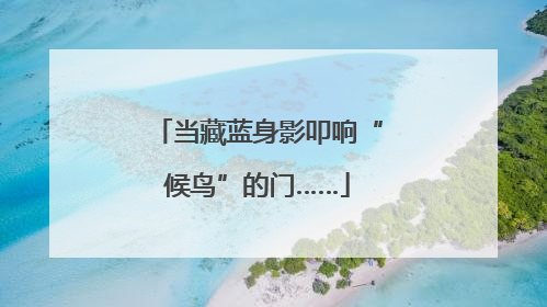 当藏蓝身影叩响“候鸟”的门……