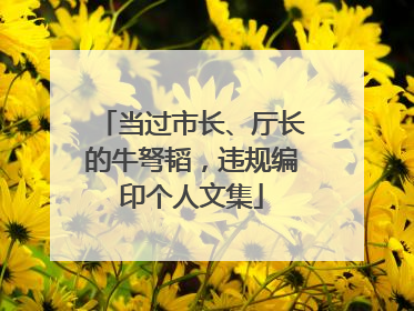 当过市长、厅长的牛弩韬，违规编印个人文集