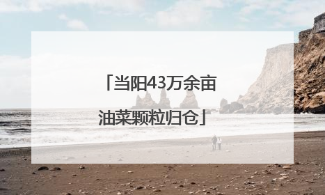当阳43万余亩油菜颗粒归仓