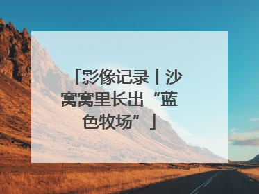 影像记录丨沙窝窝里长出“蓝色牧场”