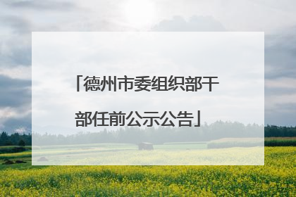 德州市委组织部干部任前公示公告