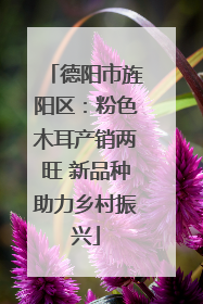 德阳市旌阳区：粉色木耳产销两旺 新品种助力乡村振兴