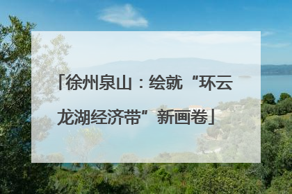 徐州泉山：绘就“环云龙湖经济带”新画卷