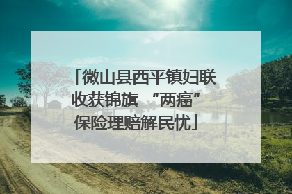 微山县西平镇妇联收获锦旗 “两癌”保险理赔解民忧