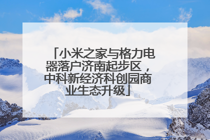 小米之家与格力电器落户济南起步区，中科新经济科创园商业生态升级