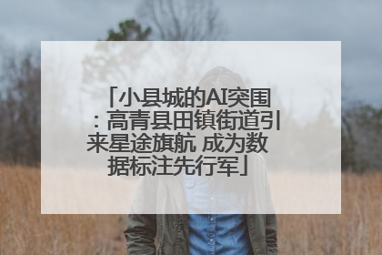 小县城的AI突围：高青县田镇街道引来星途旗航 成为数据标注先行军