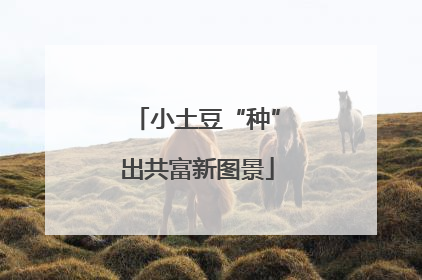 小土豆“种”出共富新图景