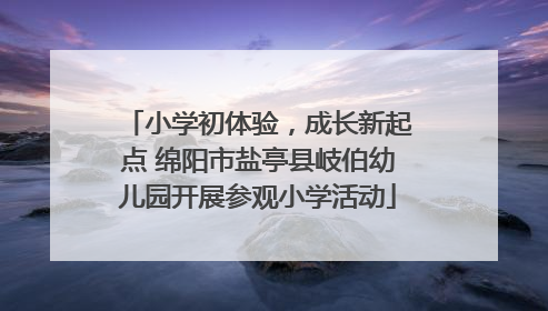 小学初体验，成长新起点 绵阳市盐亭县岐伯幼儿园开展参观小学活动