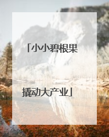 小小碧根果撬动大产业