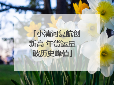 小清河复航创新高 年货运量破历史峰值