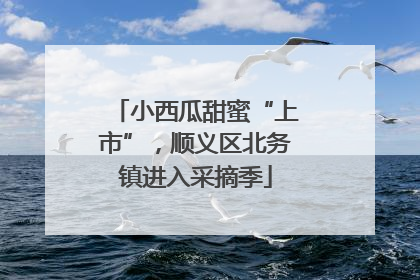 小西瓜甜蜜“上市”，顺义区北务镇进入采摘季