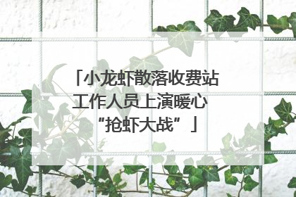 小龙虾散落收费站 工作人员上演暖心“抢虾大战”