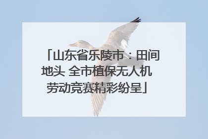 山东省乐陵市：田间地头 全市植保无人机劳动竞赛精彩纷呈