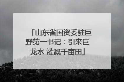 山东省国资委驻巨野第一书记：引来巨龙水 灌溉千亩田