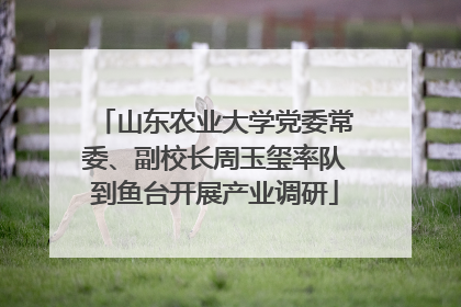 山东农业大学党委常委、副校长周玉玺率队到鱼台开展产业调研