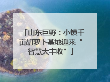 山东巨野：小镇千亩胡萝卜基地迎来“智慧大丰收”