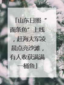 山东日照“面条鱼”上线，赶海大军凌晨点亮沙滩，有人收获满满一桶鱼