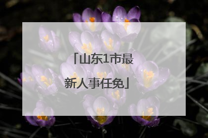山东1市最新人事任免