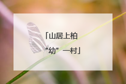 山居上柏 “幼”一村