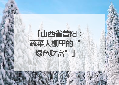 山西省昔阳：蔬菜大棚里的“绿色财富”