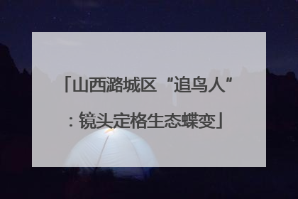 山西潞城区“追鸟人”：镜头定格生态蝶变