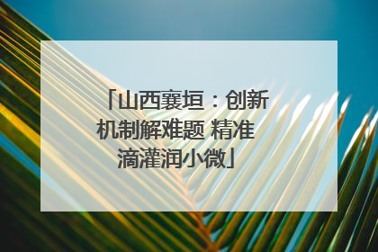 山西襄垣：创新机制解难题 精准滴灌润小微