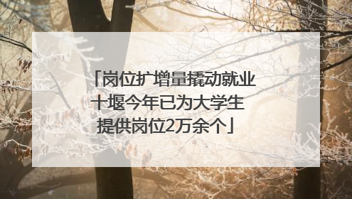 岗位扩增量撬动就业 十堰今年已为大学生提供岗位2万余个