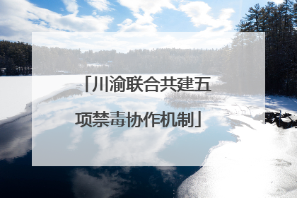 川渝联合共建五项禁毒协作机制