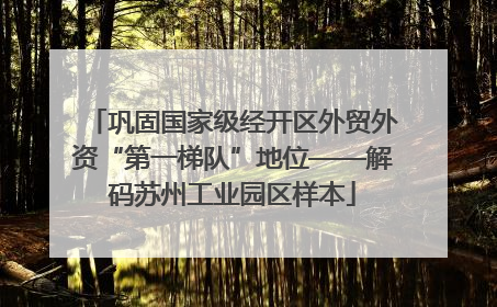 巩固国家级经开区外贸外资“第一梯队”地位——解码苏州工业园区样本