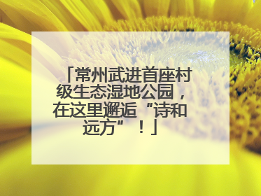 常州武进首座村级生态湿地公园，在这里邂逅“诗和远方”！