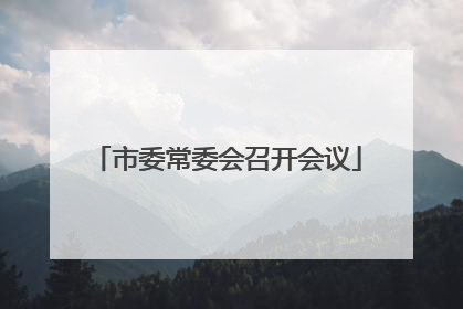 市委常委会召开会议
