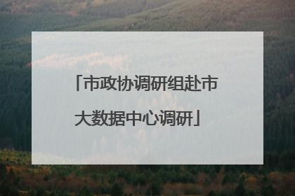 市政协调研组赴市大数据中心调研